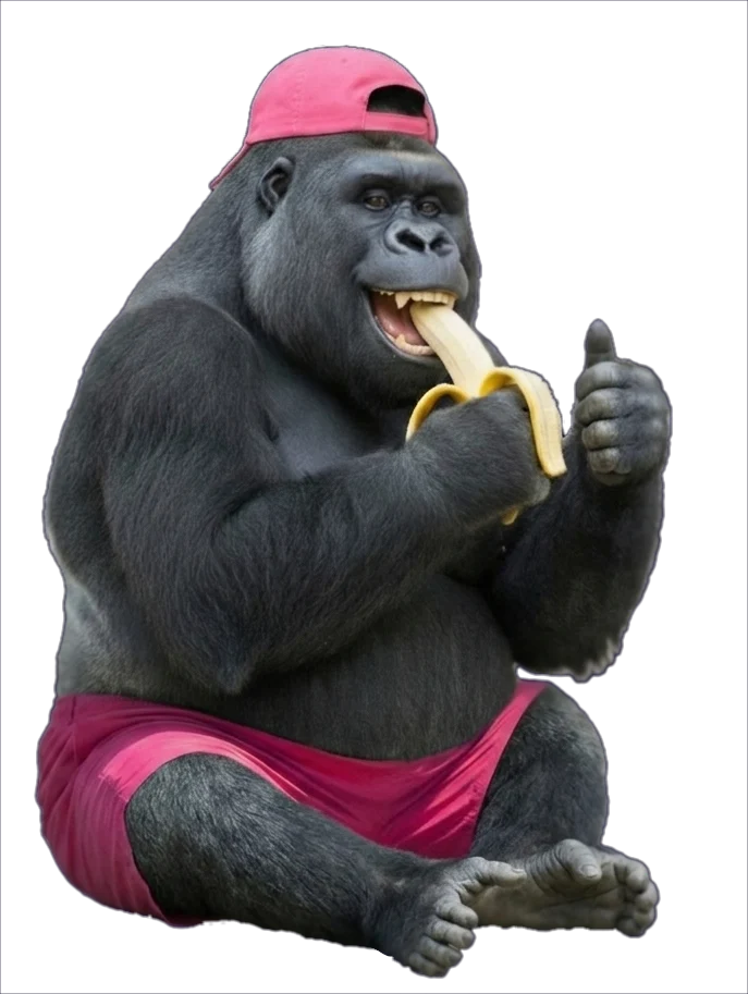 Gorilla mascot &mdash; the Seresa loop